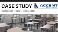 Case Study: Windsor Park Collegiate
