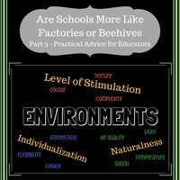 Are Schools More Like Factories or Beehives? Schools as Factories - Part 3