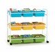 Leveled Reading Book Browser Cart